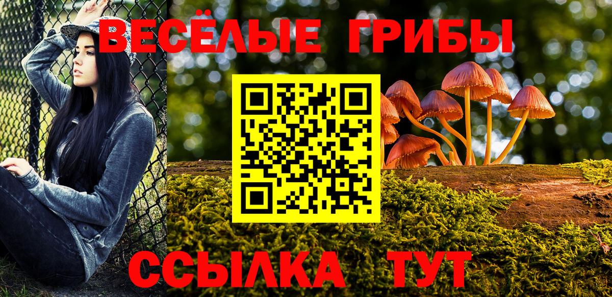 Галлюциногенные грибы ЛСД Нижнекамск